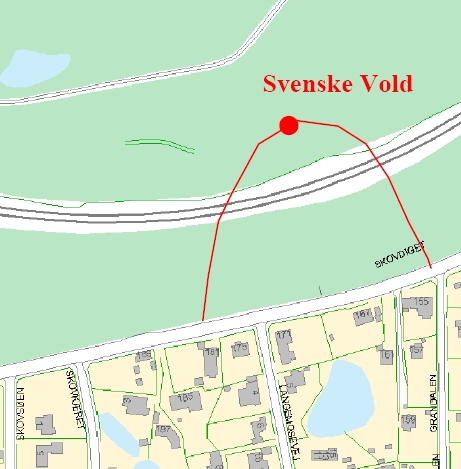 20080525dn svenske vold